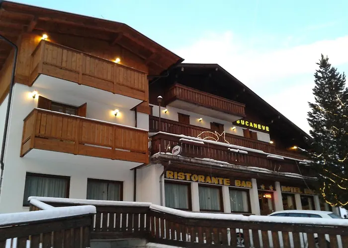 Hotel Bucaneve
